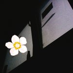 [댓글부탁해] 부산 또 <b>번개</b>쳐 시 ㅂ ㅏ ㅠㅠ