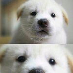 [댓글부탁해] <b>연골</b> 피어싱 어떻게 생각해?