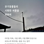 유기동물들에게 시원한 여름을..