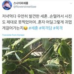 [세훈] 170704 세후니 목격사진
