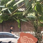 [EXO] 야 사진 <b>훈이</b>흑발