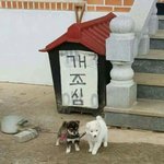 [댓글부탁해] 몇년 간 쓸 닉네임 추천 좀