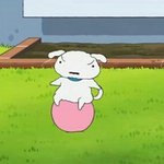 [조언부탁해] 내친규 시험기간에 너무 극혐임