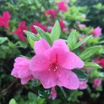 [조언부탁해] <b>사진관련</b> 학과 나오신분 있나요ㅜㅜ