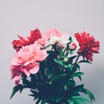 [드루와] <b>선생</b>님 딸이 자꾸 반에 옴