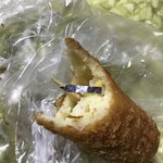 [꼭봐주세요] 파리바게트빵에서 날카로운 쇳조각이 나왔어요(충격주의)