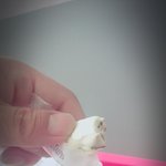 이거 맛있던데 드셔보셨나요