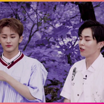 [EXO] 야 신발 컴백이 슬슬 걱정된다