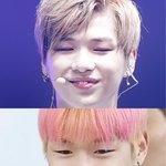 [워너원] 애들이 서치 많이하는거