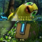 [드루와] 얘들아 오버워치 처음햇는데 명중률