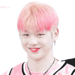 [댓글부탁해] 네<b>스티</b>팜같은데