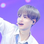 [워너원] 제발 티켓팅팁좀줘 ㅠㅠㅠㅠ