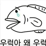 [댓글부탁해] 언니년 또 신발사고 들어왔어;