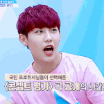 [워너원] 저번에 친구랑 콘서트 갔다가