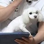 [댓글부탁해] 옷사달라고말해도되는부분..?