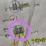 [공판] <b>염색</b>분체ㅠㅠ