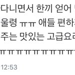 [EXO] 이 짹년 말하는거봐.. 조카 이런년들때문에