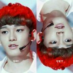 [EXO] 베톡 보니까 이거 생각난다