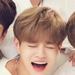 [워너원] 오늘의 최애는 대휘다