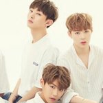 [워너원] <b>지성</b>이 머리 박제각