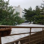 [조언부탁해] 죽고싶어 어떻게해야할지모르겠다