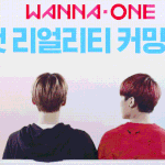[워너원] 얘네 결국에