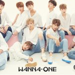 [워너원] ! 워너원 팀 결성 20일차 하루정리 !
