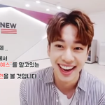 [브랜뉴즈] 브랜뉴보이즈 예스<b>담당</b>