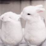 J야,,,머<b>하닝</b>~