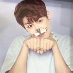 [워너원] 와...팔<b>굵기</b> 차이봐