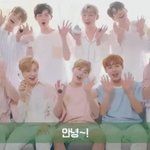 [워너원] 뭔가 애들ㅋㅋㅋ