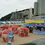 [꼭조언부탁] 송도해수욕장 불법매점때문에