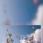 [드루와] <b>올백</b>맞은 내친구가 인생친구인이유