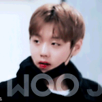[<b>박지훈</b>] 오늘 네캐 봤니?