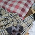 [개깊은빡침] <b>분풀이</b> 할데가 없어서 써요