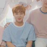 [워너원] ㅅㄷ너블이들아 ~~