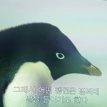 [워너원] 내일 <b>풀메</b>