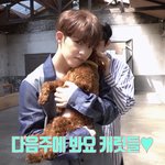 [세븐틴] 너무 편하게 안겨있네