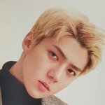 [세훈] 슴콘 브로슈어 <b>실사</b>컷