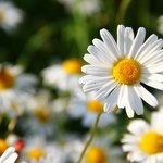 [헤어진후에] <b>서로</b> 사랑하는데 헤어질 수 있을까요?