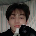 [댓글부탁해] 짝<b>남</b>선배가 좋<b>탐</b>올렸는데 좋아요 눌러볼까?