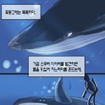 [댓글부탁해] 완전 하얘지는 거 사고싶은데