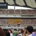 [EXO] 곰돌<b>존</b> 바로 밑이 삐약<b>존</b>인데