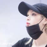 블랙핑크 리사의 <b>우월</b> 유전자