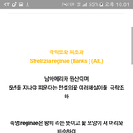 시1발 나 뒤짐 5년뒤에 꽃피는것도 모자라서 속명은 <b>왕비</b>이라녀ㅁ