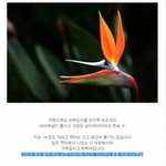 [EXO] 5년뒤에 핀다는게 <b>무슨</b> <b>뜻</b>인지 아냐