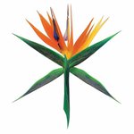 [EXO] <b>오오</b> 로고세웠더니 진짜꽃이야