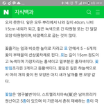 [EXO] ㅅㅂ 극락조화 꽃말 영구<b>불변</b>