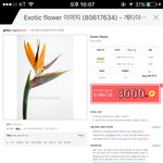 [EXO] 4집 exotic 아니냐 ㅁㅊ