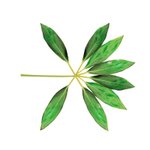 [EXO] <b>풀이</b> 컨셉인가